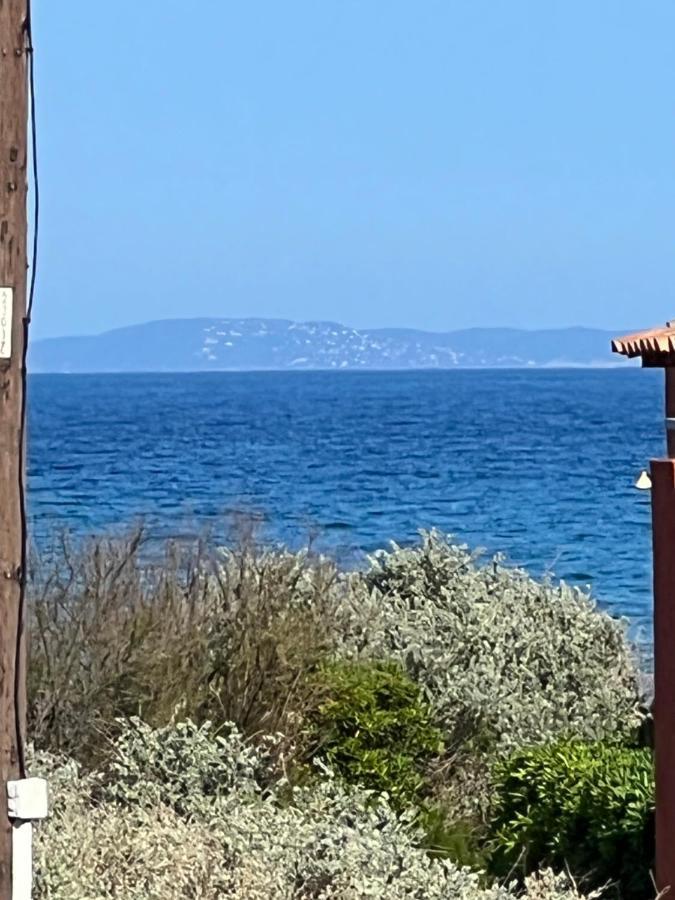 Plein Sud, Bel Appartement 20 Metres De La Plage La Capte Hyères Exteriör bild